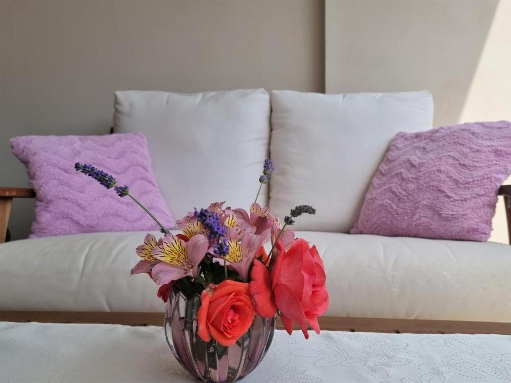 Apartments Ragusa روفينج المظهر الخارجي الصورة